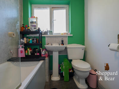 Picture 14